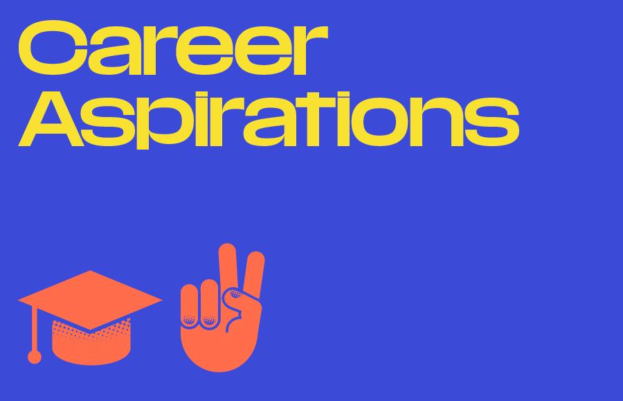 Career Aspirations  icon